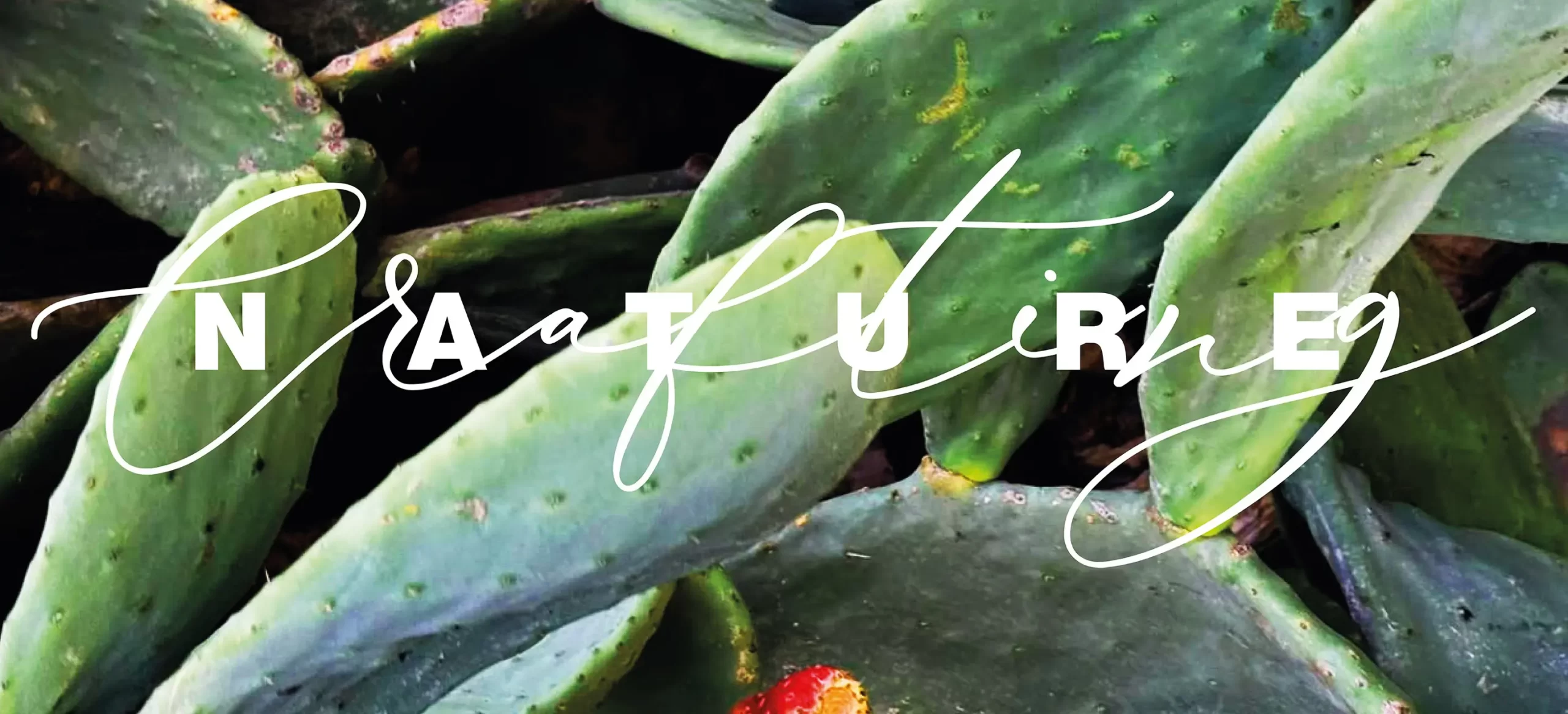 "Crafting Nature" - Art Exhibition